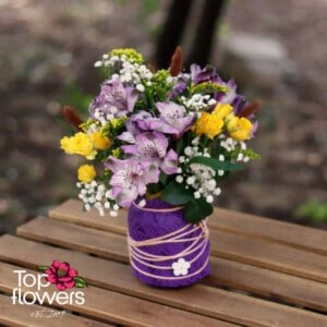 Polish Joy | Purple