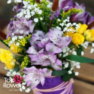 Polish Joy | Purple | Arrangement