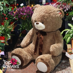 Huge teddy bear | Brown 120-150 cm.