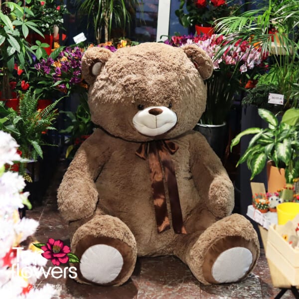 Huge teddy bear | Brown 120-150 cm.