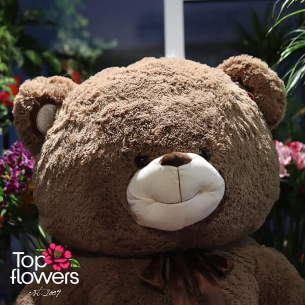 Huge teddy bear | Brown 120-150 cm.