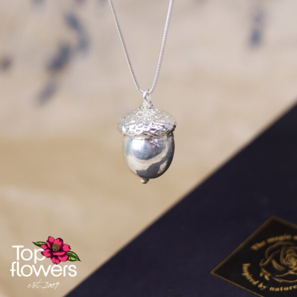 Acorn | Silver plated necklace