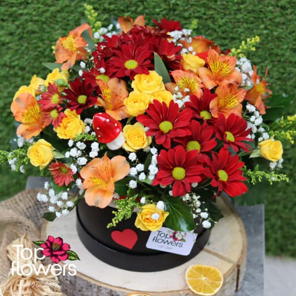 Orange Enchantment | Arrangement