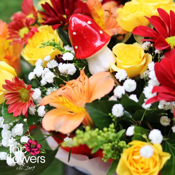 Orange Enchantment | Arrangement