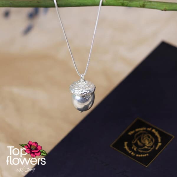 Acorn | Silver plated necklace - Image 3
