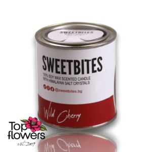 Soy Scented Candle SweetBites | Wild Cherry