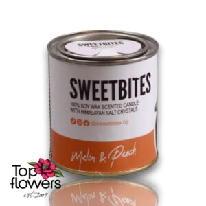 SweetBites Soy Candle | Melon And Peach