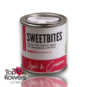 SweetBites Soy Candle | Apple and Cinnamon
