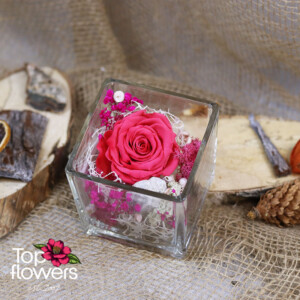 Цикламена вечна роза в стъклен съд с декоративен мъх и сухи елементи