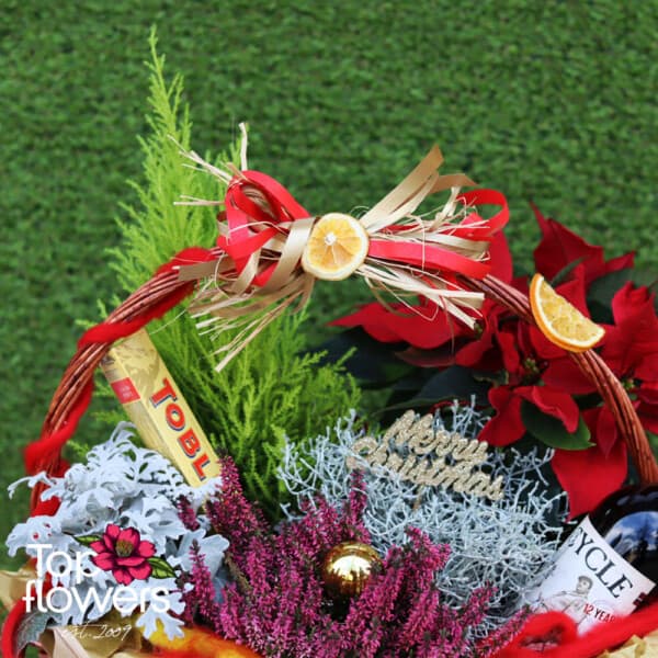 Christmas basket with live plants and sweet delight | Cypress - Image 2