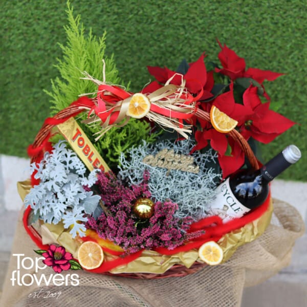 Christmas basket with live plants and sweet delight | Cypress - Image 7
