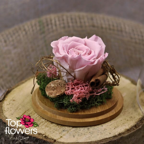 Eternal Rose in a Glass Sphere with Wooden Base | PINK