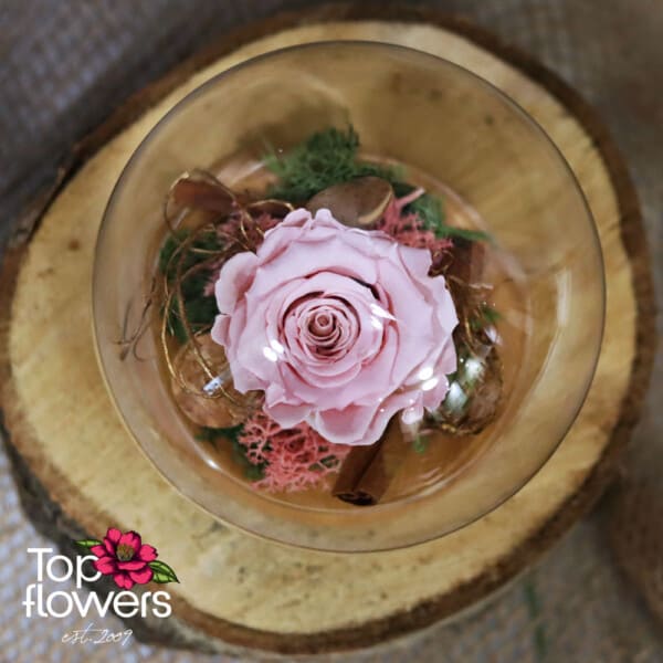 Eternal Rose in a Glass Sphere with Wooden Base | PINK