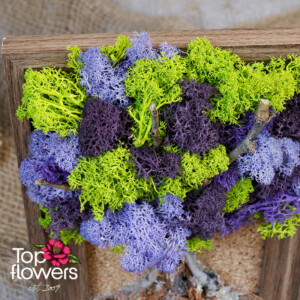 Living Picture | Blooming Inspiration