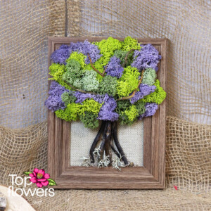 Living moss wall art tree in green and purple tones – flower shop