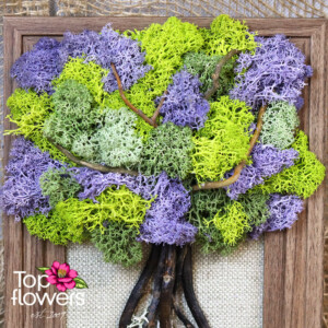 Living Picture | Blooming Inspiration Detail of living moss artwork in purple and green tones