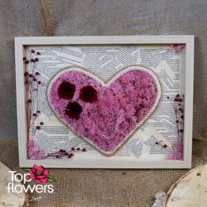 Live Picture | Illusion Х Live Picture | Illusion Х