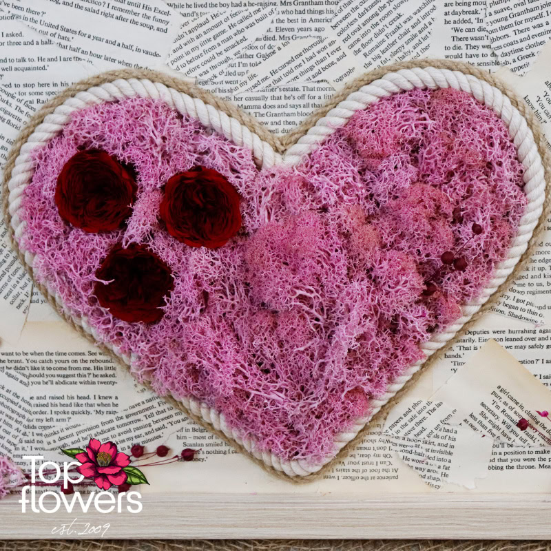 Жива картина | Илюзия Х