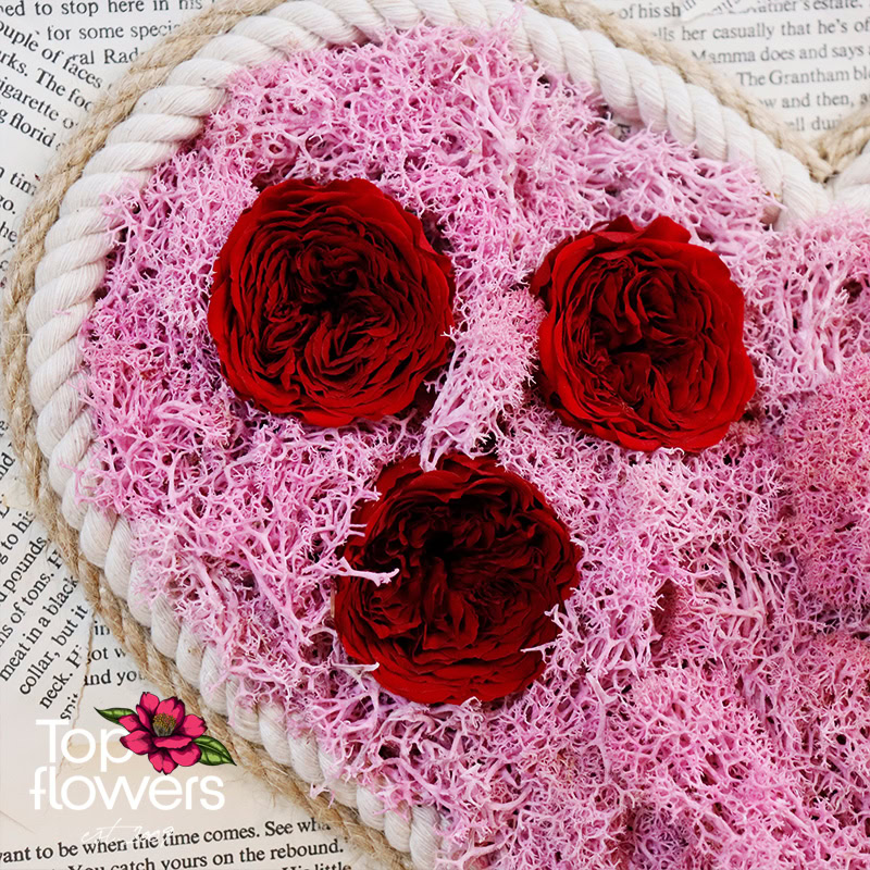 Жива картина | Илюзия Х