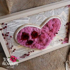 Live Picture | Illusion Х Live Picture | Illusion Х