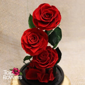 Three eternal roses in a glass jar | RED Три вечни рози в стъкленица | ЧЕРВЕНИ