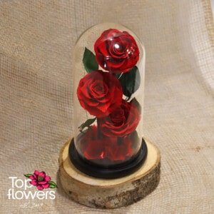 Вечна роза в стъклена сфера с дървена основа | ЧЕРВЕНА (Копие)