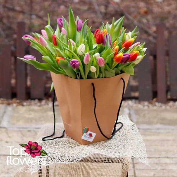 51 tulips in a bag | Bouquet
