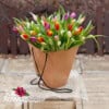 51 tulips in a bag | Bouquet - Image 4