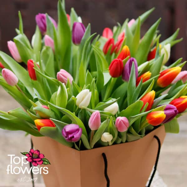 51 tulips in a bag | Bouquet