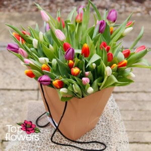 51 tulips in a bag | Bouquet