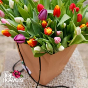 51 tulips in a bag | Bouquet