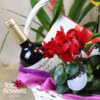 Plant and Surprise Mix | Basket - Image 5