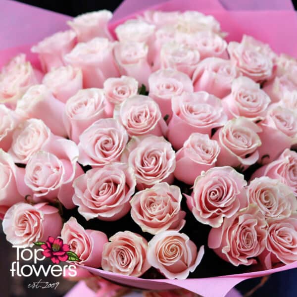 51 Pink Roses | Bouquet