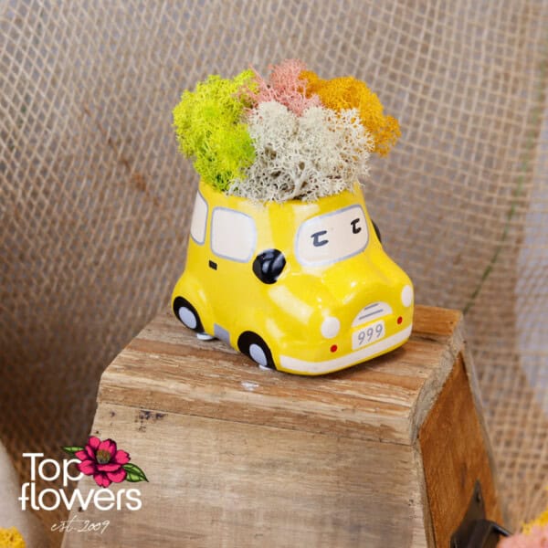 Ceramic car | Scandinavian moss - Image 4