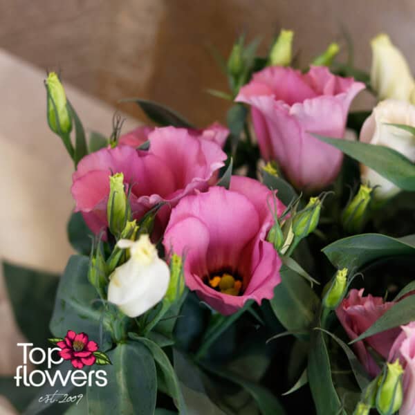 Еустома (Eustoma)