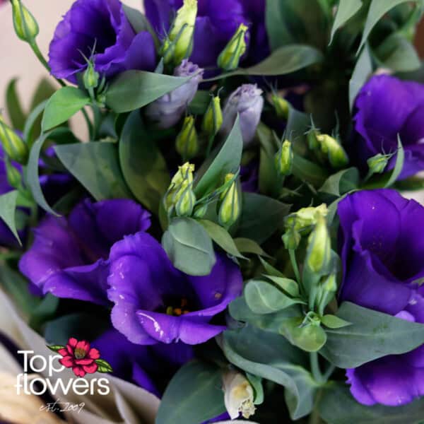 Еустома (Eustoma)