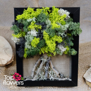 Living Picture | Echo of the Forest