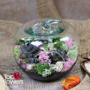 Glass arrangement with flowers, succulents and Scandinavian moss from a flower shop