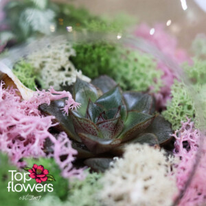 Side detail of a glass container with flowers, succulents and decorative moss