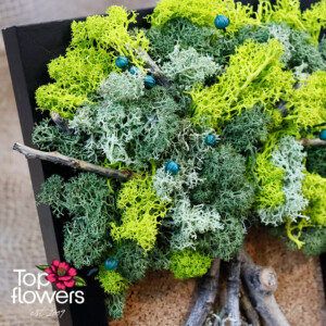 Living Picture | Echo of the Forest