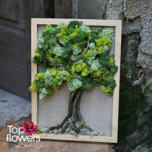 Living moss art tree made of Scandinavian moss in green shades - flower shop