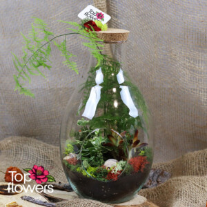 Mix of Flowers 5 in a glass container - elegant arrangement with flower delivery