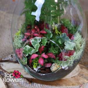 Микс от цветя 2 Близък план на цветя, мъх и зеленина в стъклен терариум