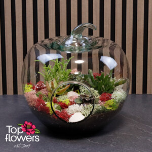 Mix of Flowers 11
