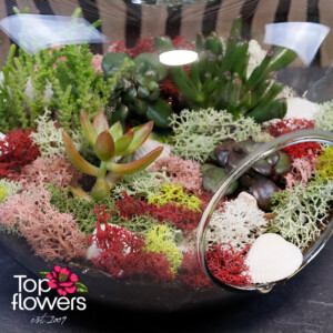 Mix of Flowers 11
