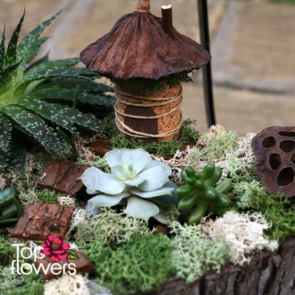 Living composition “Green Haven” with succulents and Scandinavian moss