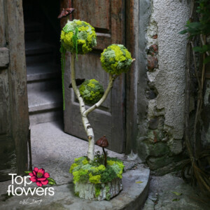 Art tree with Scandinavian moss and decorative mushrooms in a natural setting