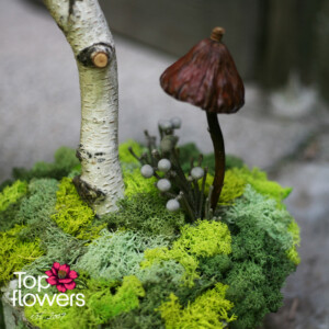 Detail of an art composition with moss, wooden element, and decorative mushroom