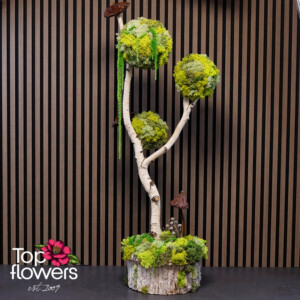 Art Tree | Hidden Mushrooms