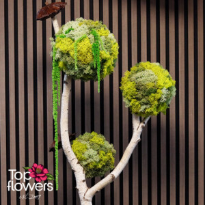Art Tree | Hidden Mushrooms